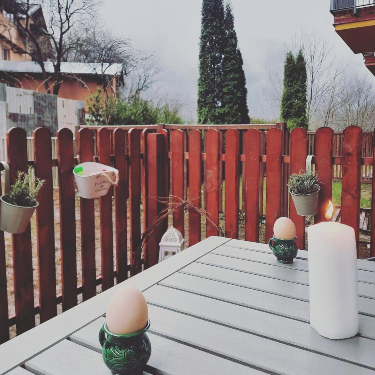 Bubbles Studio Sinaia With Terrace Экстерьер фото